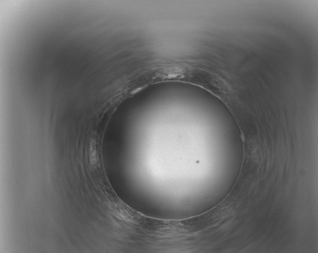 X0000060241442200511041244