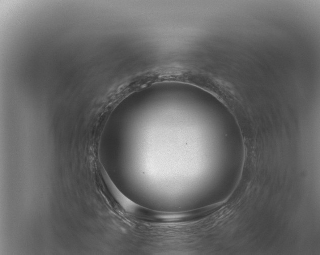 X0000060241445200511041244