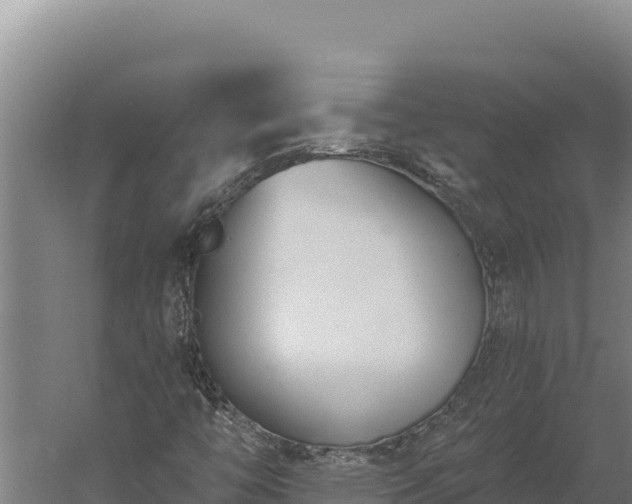 X0000060241446200511041244