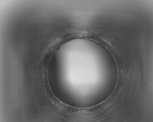 X0000060241447200511041244