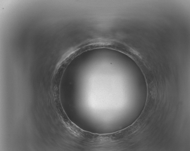 X0000060241448200511041244