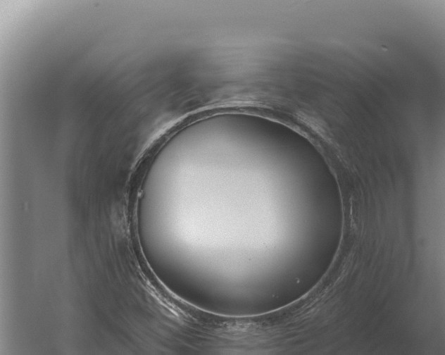 X0000060241452200511041244