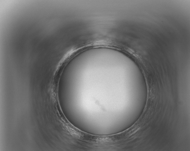 X0000060241454200511041244