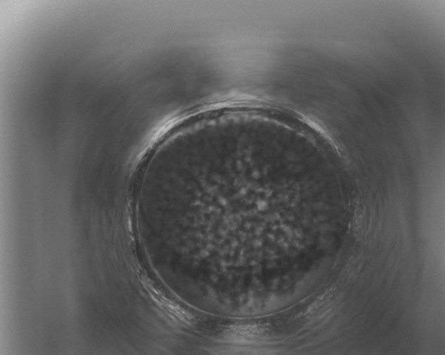 X0000060241455200511041244