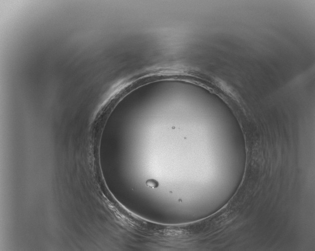 X0000060241456200511041244