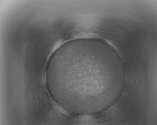 X0000060241459200511041244