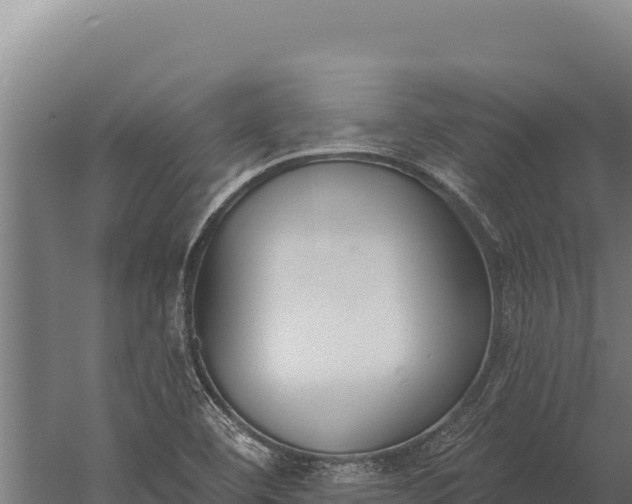 X0000060241460200511041244