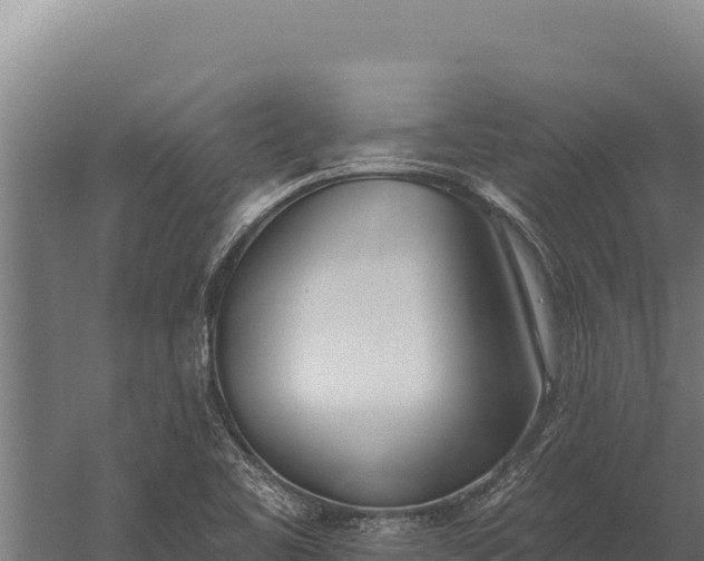 X0000060241461200511041244