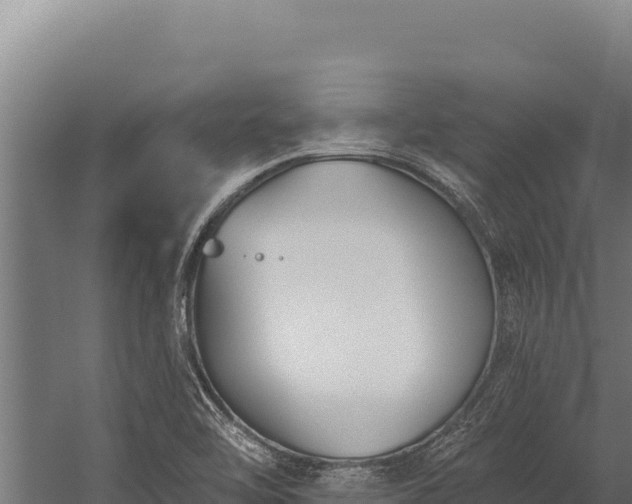 X0000060241462200511041244