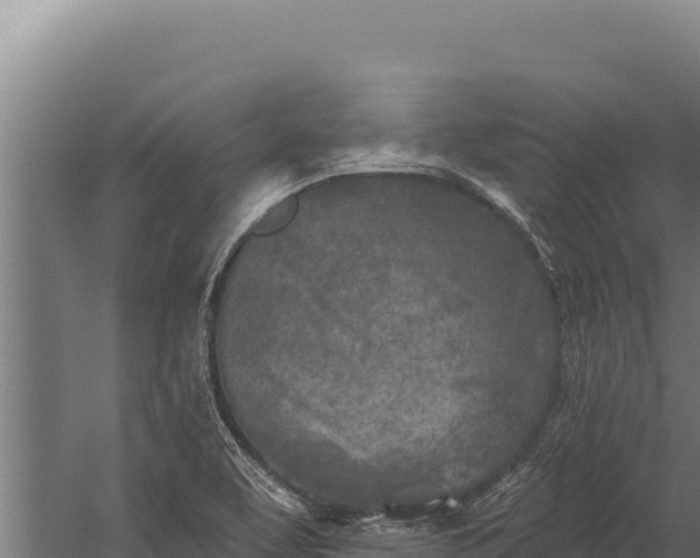 X0000060241463200511041244