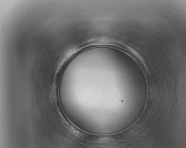 X0000060241464200511041244