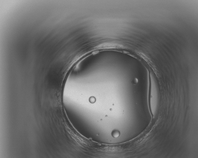 X0000060241465200511041244