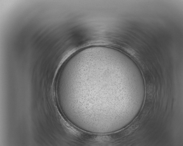 X0000060241466200511041244