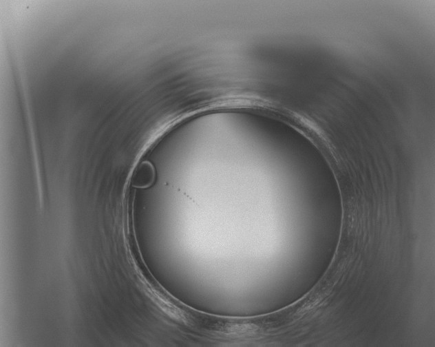 X0000060241467200511041244