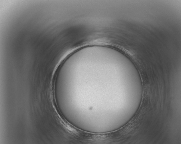 X0000060241470200511041244