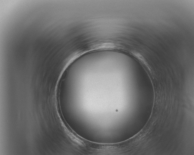 X0000060241475200511041244