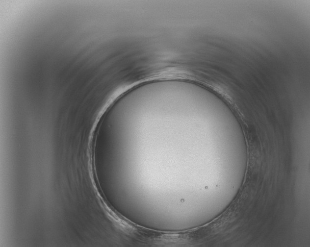 X0000060241478200511041244