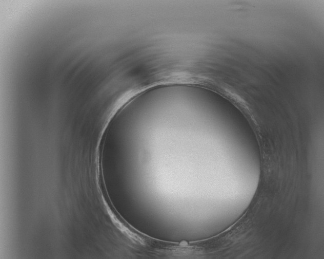 X0000060241479200511041244