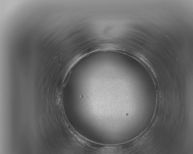 X0000060241481200511041244