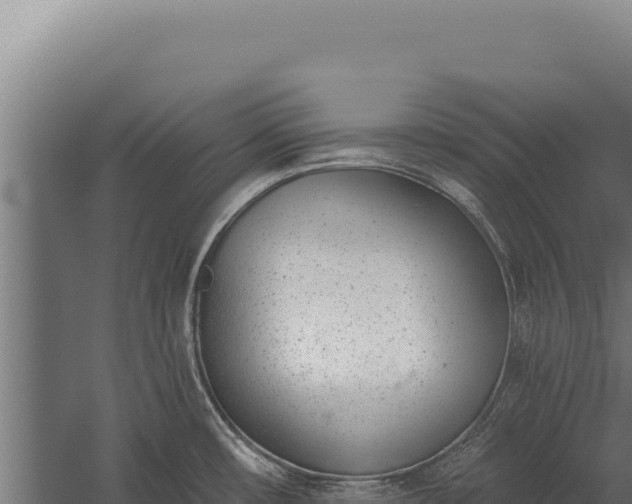 X0000060241482200511041244