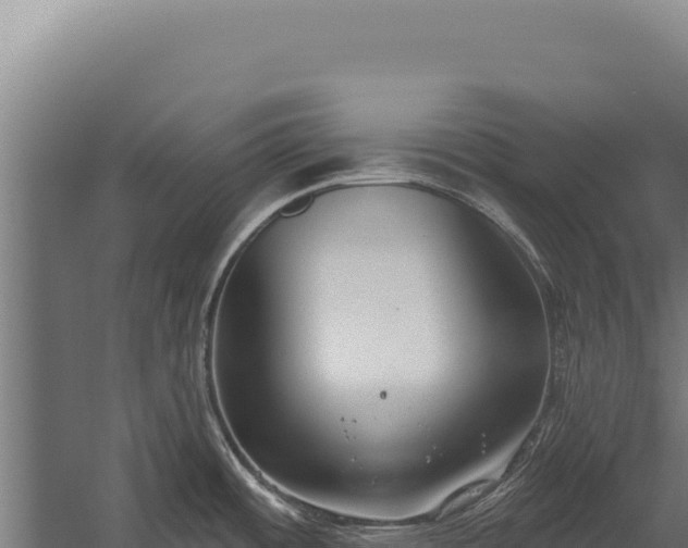 X0000060241484200511041244