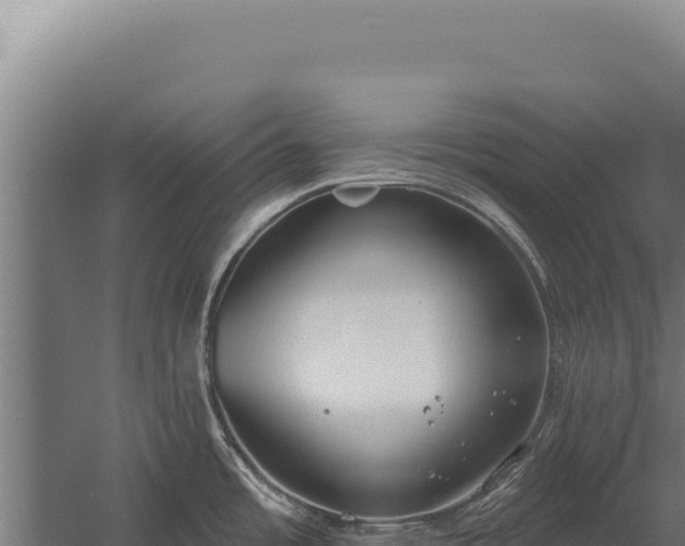 X0000060241485200511041244