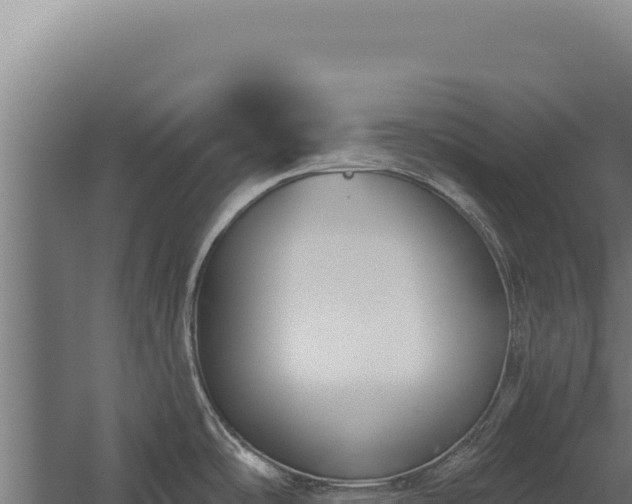 X0000060241486200511041244