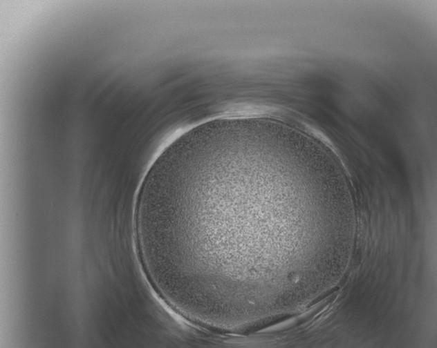 X0000060241487200511041244