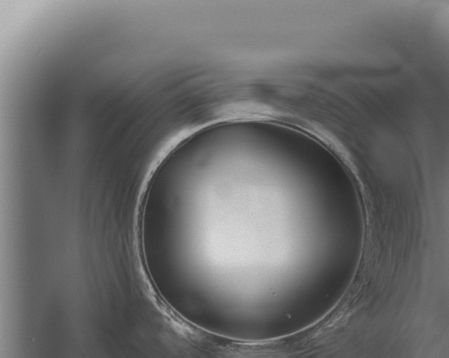 X0000060241488200511041243