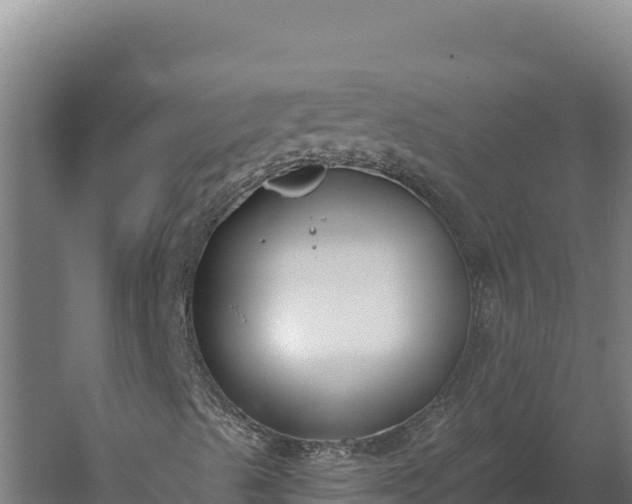 X0000060241489200511041243