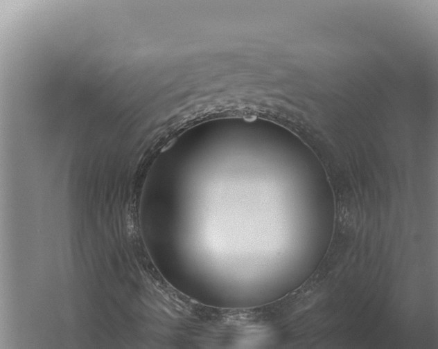 X0000060241490200511041243