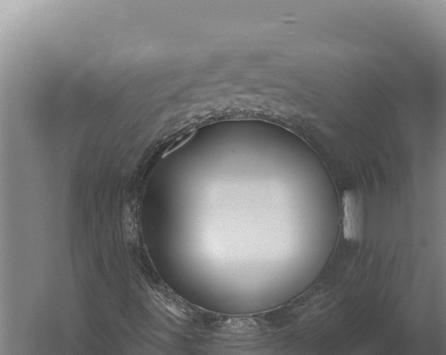 X0000060241491200511041243