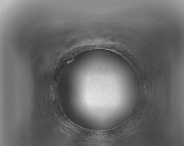 X0000060241493200511041243