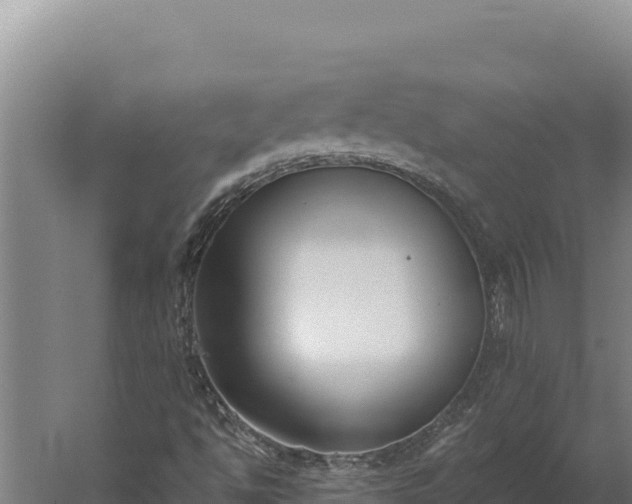 X0000060241494200511041243