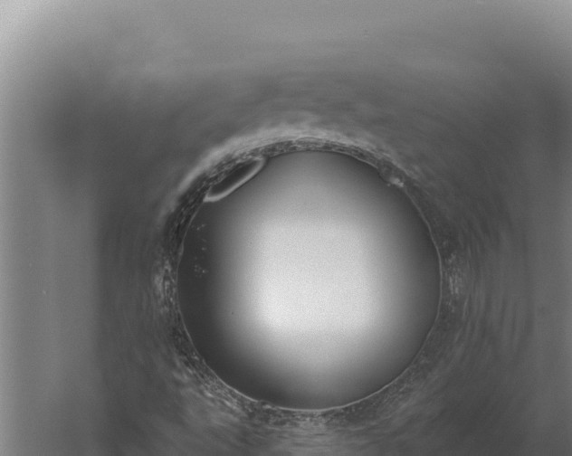 X0000060241495200511041243