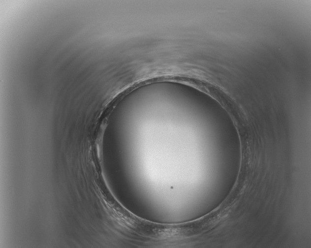 X0000060241497200511041243