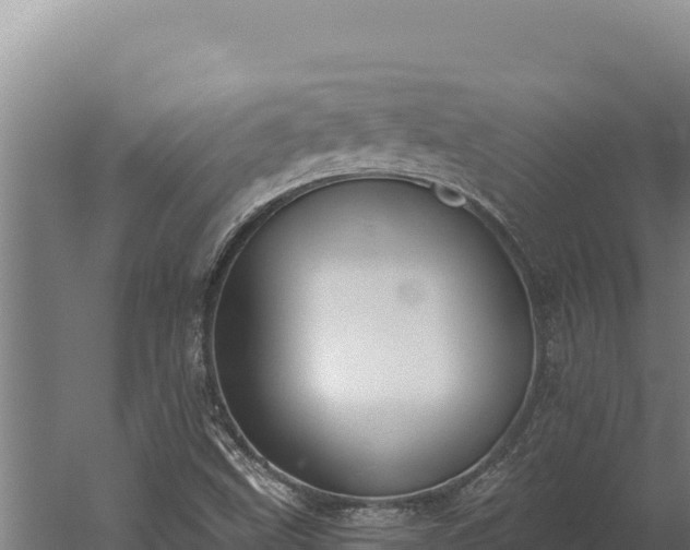 X0000060241499200511041243