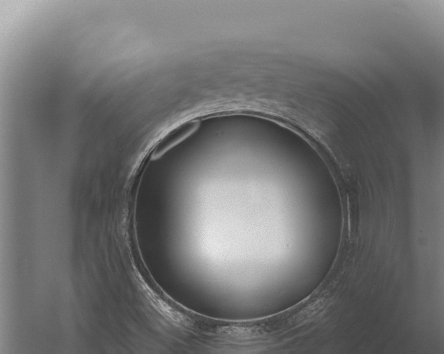 X0000060241500200511041243