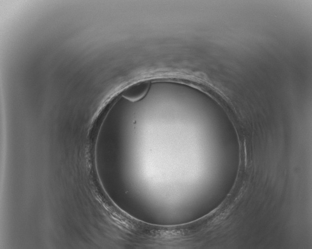 X0000060241501200511041243