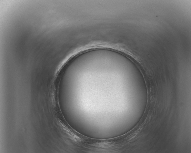 X0000060241502200511041243