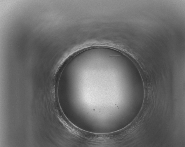 X0000060241503200511041243