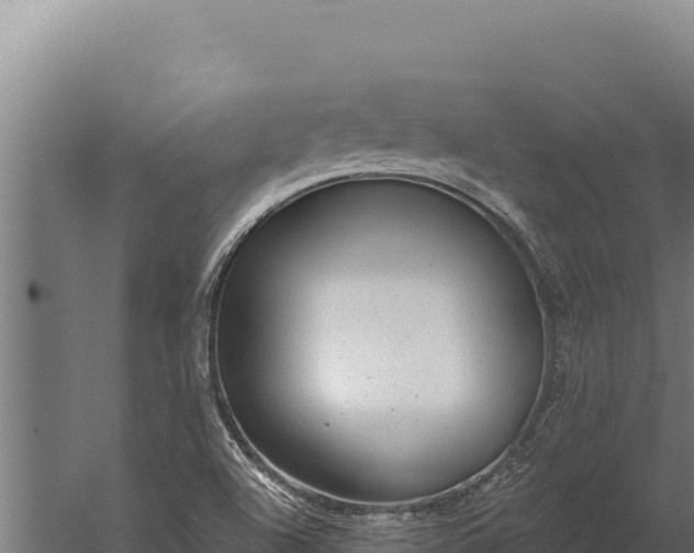 X0000060241504200511041243