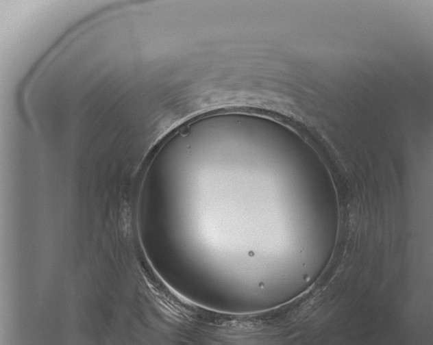 X0000060241505200511041243