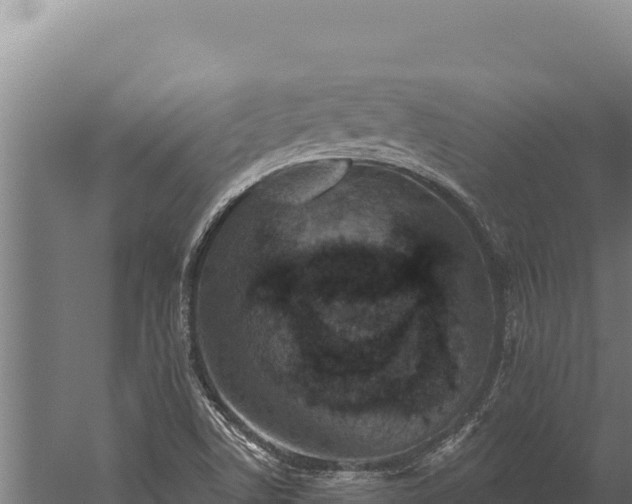 X0000060241506200511041243