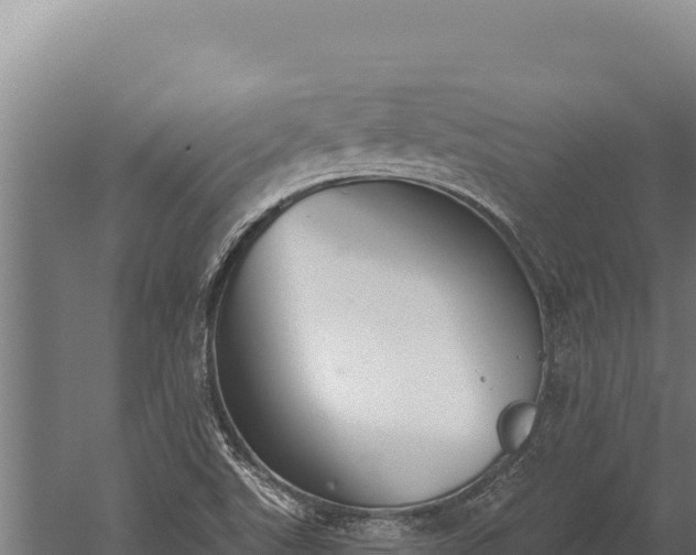 X0000060241507200511041243