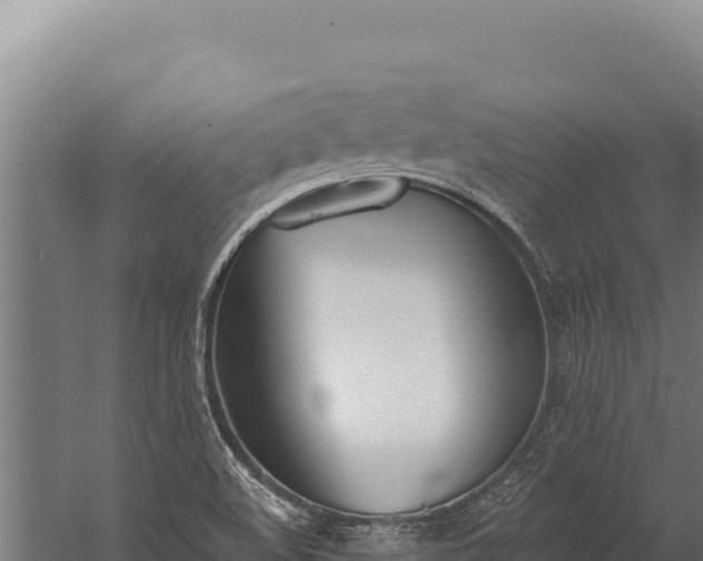 X0000060241508200511041243