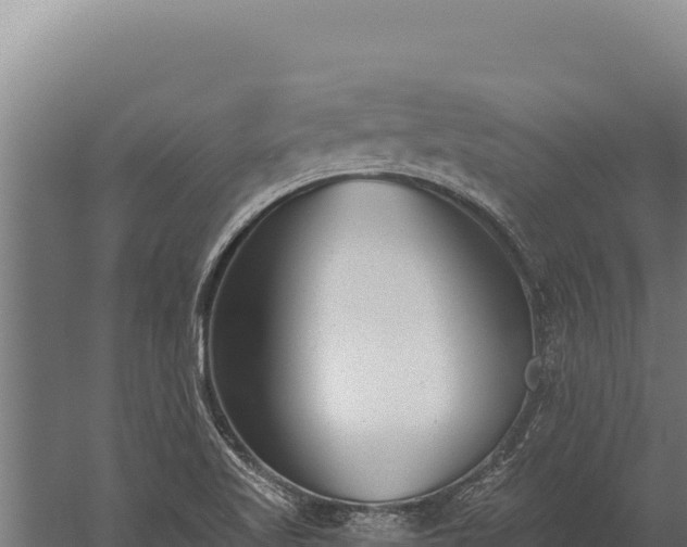 X0000060241509200511041243