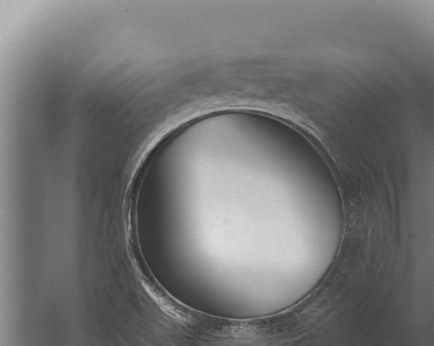 X0000060241511200511041243