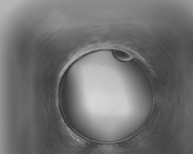 X0000060241512200511041243