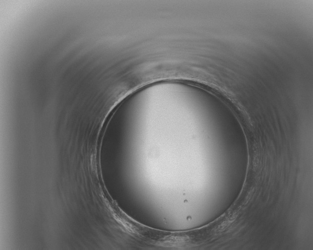 X0000060241513200511041243